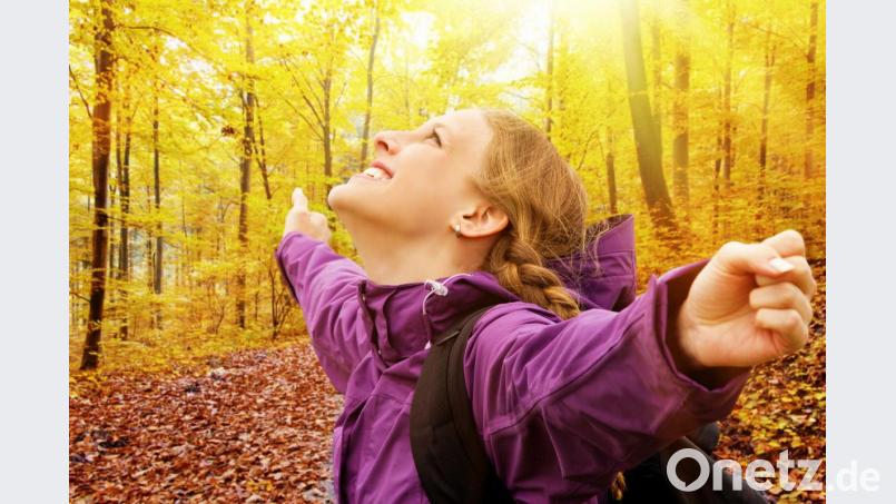 Oft sind es die kleinen Dinge, die uns glücklich machen – wie ein Spaziergang in der Herbstsonne nach Feierabend. Bild: Jürgen Fälchle – stock.adobe.com