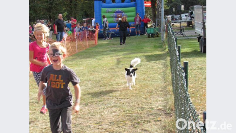 Ein anspruchsvolles Programm mit zahlreichen Hundevorführungen lockt bei herrlichem Spätsommerwetter über 250 Besucher zum Tag des Hundes auf das Gelände des Gebrauchshundevereins Schnaittenbach. Bild: ads