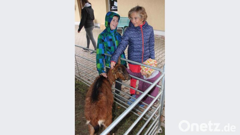 Für die Kinder gab es einen Streichelzoo. Bild: kro