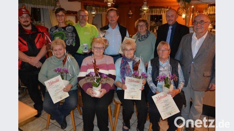 Langjährige und verdiente Mitglieder zeichneten die Wanderfreunde Mitterteich aus. Im Bild (sitzend, von links) Maria Rankel, Martha Dreßel, Käthe Bauer und Marianne Zottmeier sowie (stehend, von links) Hermann Rankel, Anja Dreßel, Andreas Dreßel, Franz Zinnecker, Vorsitzende Andrea Zinnecker, Stadtverbandsvorsitzender Peter Haibach und Dritter Bürgermeister Ernst Bayer. Bild: jr