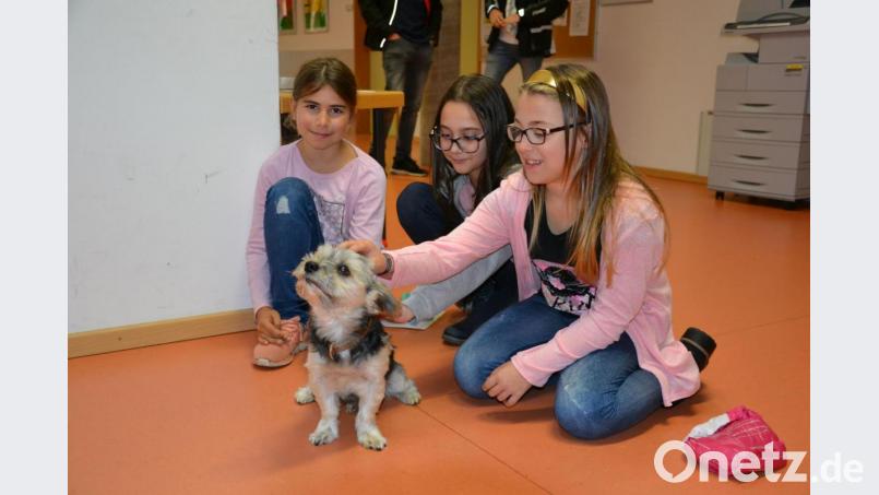 Hündchen &quot;Coco&quot; genießt die Streichelheiten der Fünftklässlerinnen. Maja, Cristina und Magdalena sind sich einig: &quot;Coco ist so süß!&quot; Bild: Lowak