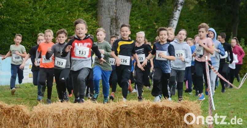 Gleich nach dem Start das erste Hindernis: Strohballen müssen übersprungen werden. Bild: gsb