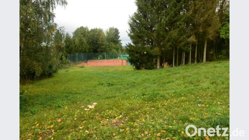 In der leichten Senke oberhalb des Tennisgelände soll die Bade- und Spiellandschaft angelegt werden, weil daneben unmittelbar am Atzmannsee die notwendigen Einrichtungen wie Sanitäranlagen und Kiosk vorhanden sind und genutzt werden können. Bild: bey