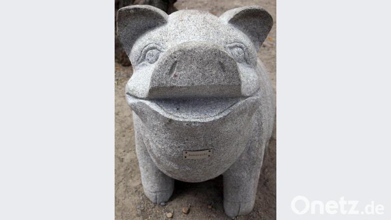 Schwein Schorschi soll noch mehr Gesellschaft bekommen. Bild: Wolfgang Steinbacher