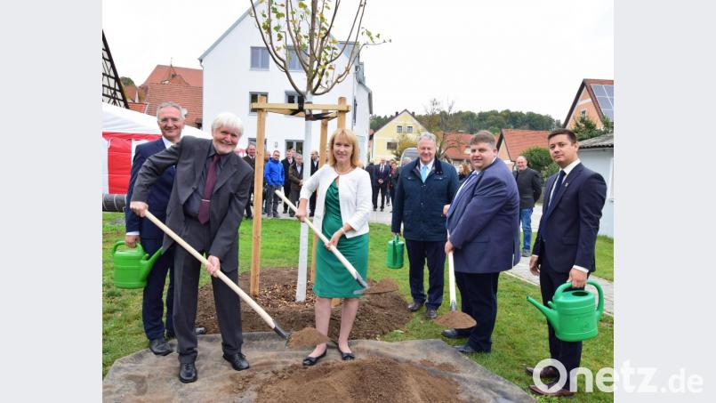 Die Dorflinde pflanzen (von links) Landtagsabgeordneter Harald Schwartz, Architekt Stefan Roggenhofer als Spender des Baums, Birgland-Bürgermeisterin Brigitte Bachmann, Landrat Richard Reisinger, der Illschwanger Bürgermeister Dieter Dehling und sein Vize Benjamin Hiltl. Bild: no