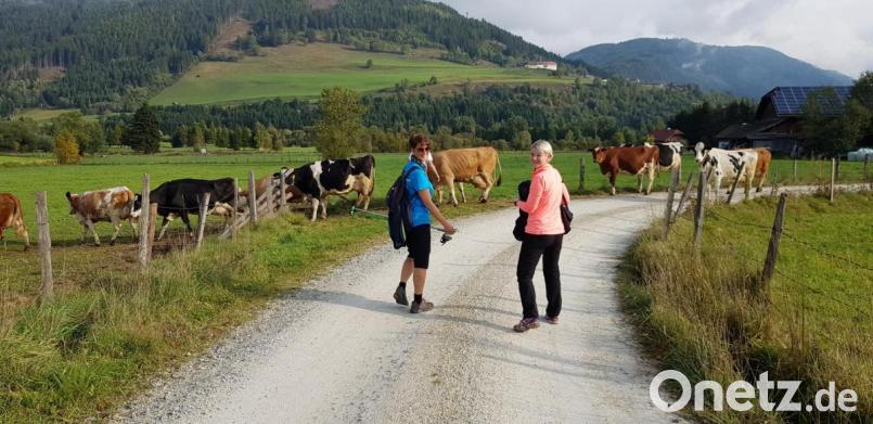 Die Urlaubsregion des Salzburger Lungau bildete die landschaftliche Kulisse der 17. Wander-Weltmeisterschaft. Für die Teilnehmer aus Oberviechtach - hier Anneliese Kraus (links) und Alexandra Wild - warteten auch tierische Begegnungen auf den Strecken. Bild: exb/Fotostudio Kraus