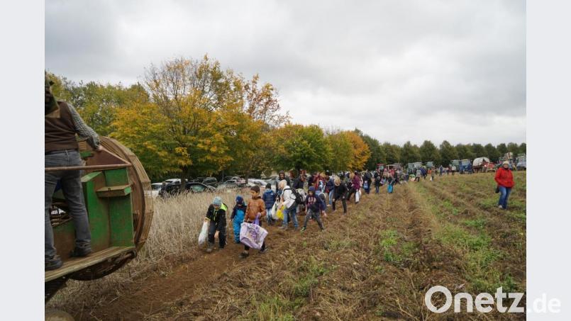 Eine ganze Prozession sammelfreudiger Besucher folgte dem Kartoffel-Vollernter. Bild: Sebastian Bötzl/exb
