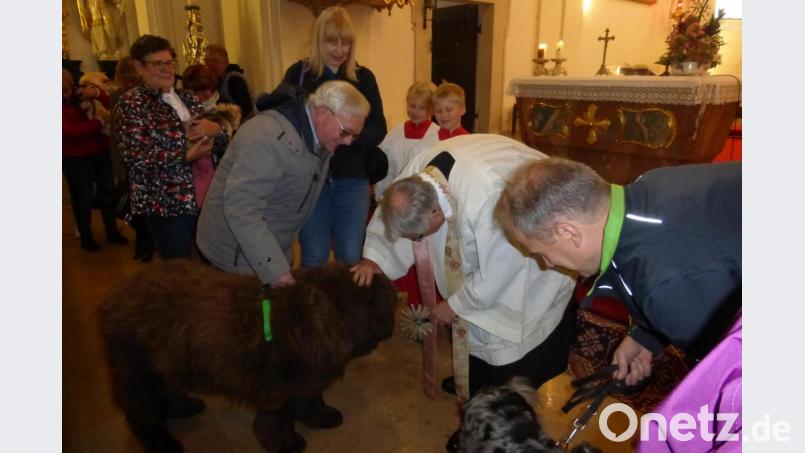 Bei der Tiersegnung in St. Quirin ist die neunjährige Neufundlanderdame Xara gerngesehener Stammgast. Bild: man