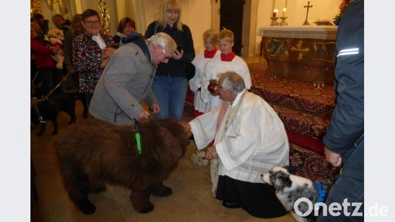 Bei der Tiersegnung in St. Quirin ist die neunjährige Neufundlanderdame Xara gerngesehener Stammgast. Bild: man