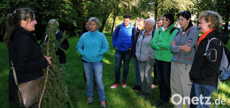 Gespannt folgen die Teilnehmer den Ratschlägen der „Kräuter-Hexe“ Daniela Reisch (links), die gerade erklärt, wie schmackhaft und gesund die jungen Fichtentriebe sein können. Bild: gf