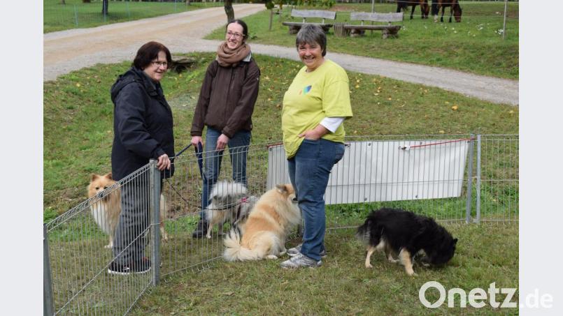 Der Dorfspitz war der unbestrittene Liebling des Publikums. Auch seine Besitzer schätzen den treuen Gefährten sehr. Bild: bnr