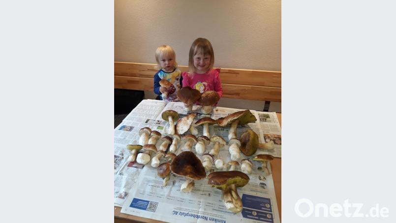 Ella und Lena freuten sich riesig über die vielen Steinpilze, die sie gemeinsam mit Papa Christian bei einem spontanen Waldspaziergang fanden. Bild: jr