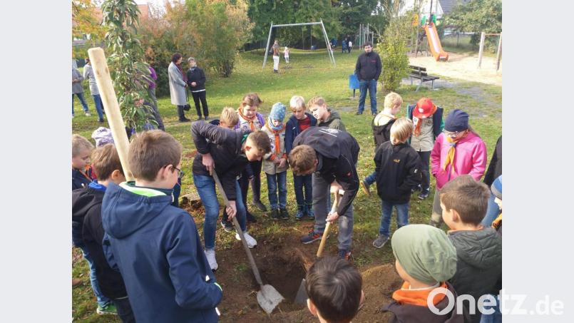 Der Apfelbaum wird mit vereinten Kräften am Spielplatz eingesetzt. Bild: extern
