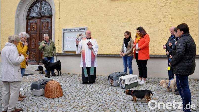 Pfarrer Wilhelm Bauer (Mitte) segnet die Tiere. Bild: es