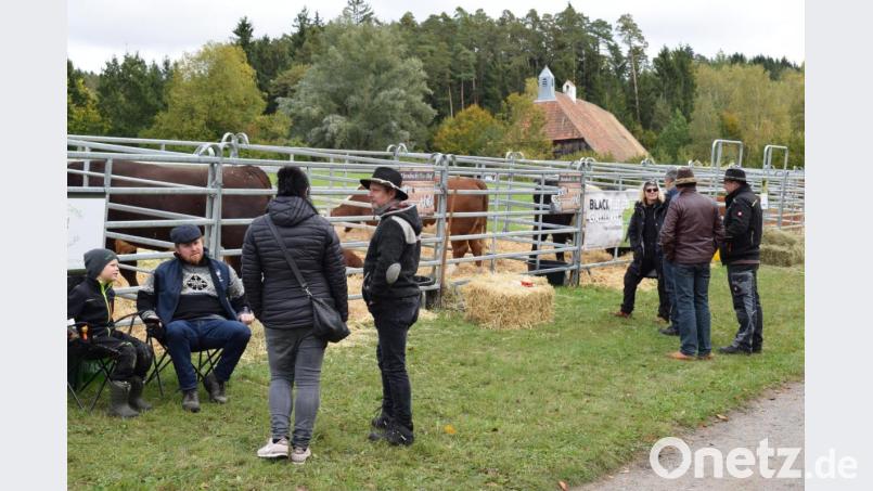 Die Züchter sind meist Idealisten, die den Wert der Tiere mit ganz anderen Augen sehen. Bild: bnr