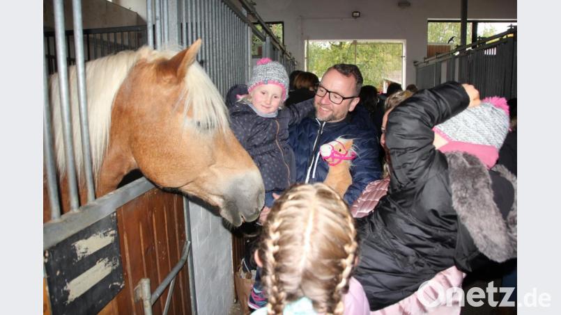 Viele Streicheleinheiten bekamen die Pferde beim Tag der offenen Tür. Bild: kro