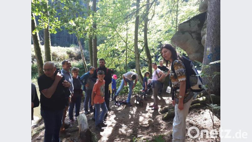 Wandern durch das Waldnaabtal. Bild: exb