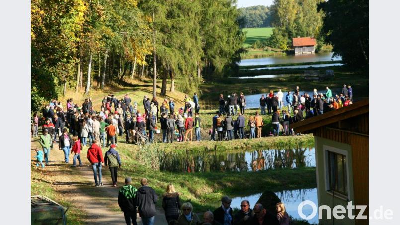 Beim Abfischen am Teich, zwischen „Grisl“ und „Walz“ gelegen, können die Buben und Mädchen ihr Fischerglück probieren. Archivbild: wro