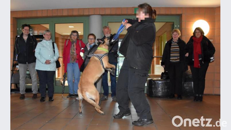 Diensthundeführerin Alexandra Gössl erklärt den Senioren nach dem Vortrag zum Thema Betrug, wie ein Polizeihund ausgebildet wird und wie eng die Verbindung zwischen ihm und seinem Hundeführer ist. Die Diensthundeführerin im Bild zeigt, wie ihr Hund zuschnappt. Sie will nicht erkannt werden. Bild: jak