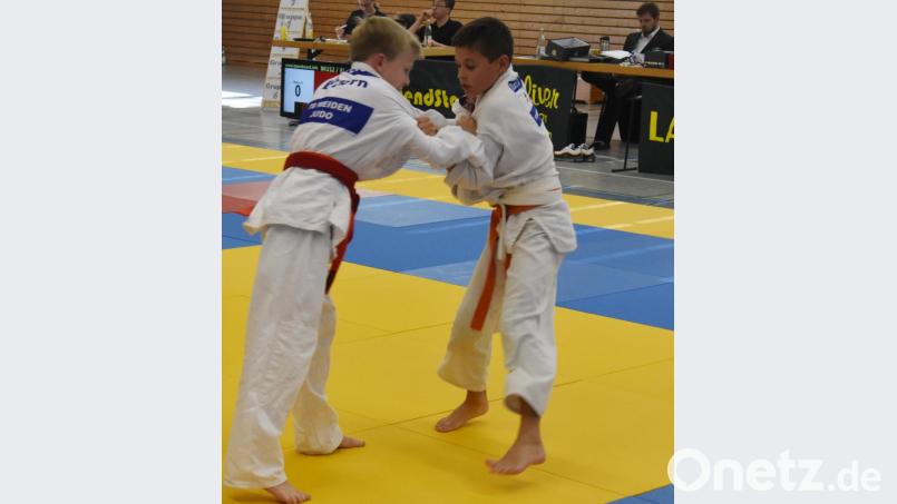 Der Turnverein Vohenstrauß war erneut Gastgeber für die diesjährigen Judo-Meisterschaften in der Dreifachturnhalle. Bild: dob