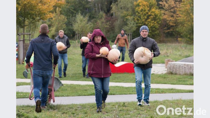 Alle packten beim Heraustragen der Kürbisse mit an. Bild: nza