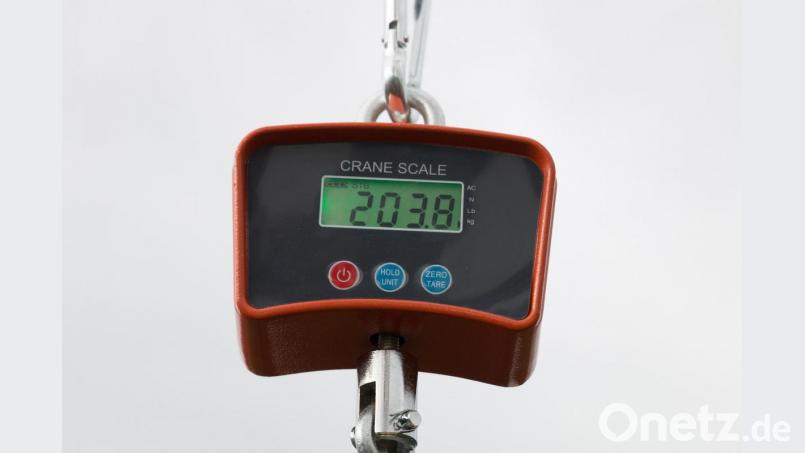 Der Siegerkürbis brachte 203,8 Kilo auf die Waage. Bild: nza