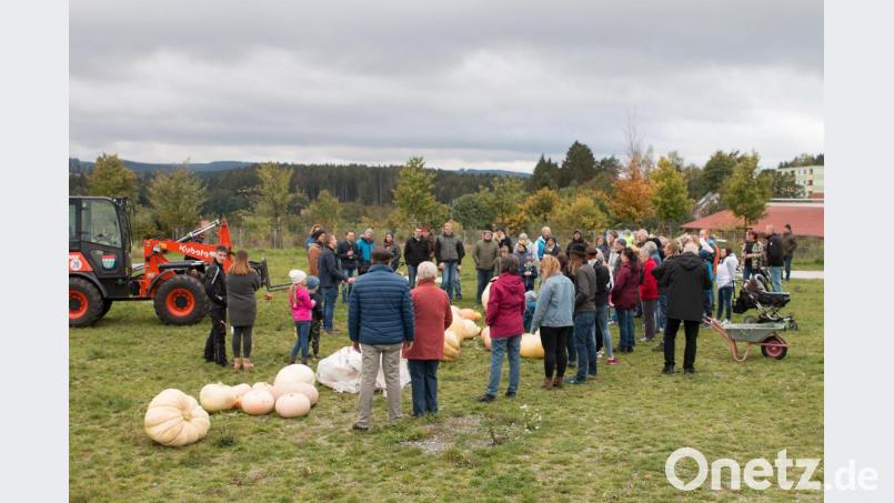 Viele Bürger fieberten vor Ort beim Kürbiswiegen mit. Bild: nza