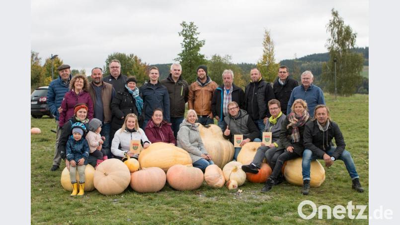 Alle Teilnehmer vom Riesenkürbiswettbewerb. Bild: nza