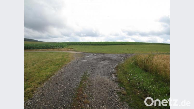 Führt der Weg nach links oder nach rechts? Wenn die Markierung fehlt, stehen Wanderer oft vor keiner leichten Entscheidung. Bild: Werner Duschanek