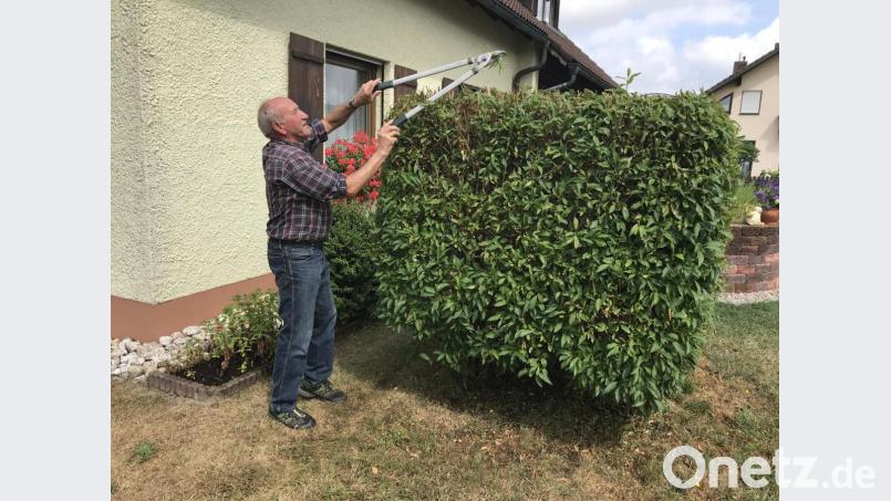 Gartenarbeit ist für Alois Müller keine Arbeit; er gehört zu den Menschen mit dem berühmten grünen Daumen, kennt sich aus, wie was wann geschnitten werden muss und stellt sein Wissen gern anderen zur Verfügung. Bild: eig