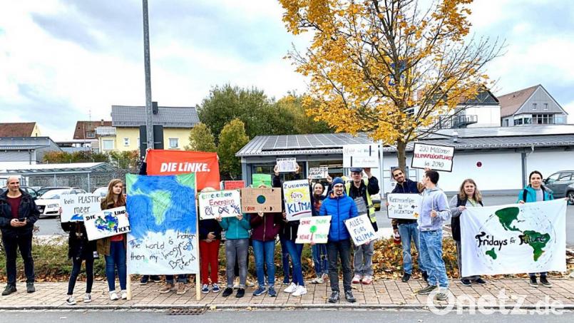 Mit Schildern und Transparenten gehen Auerbacher Schüler für „Fridays for Future“ auf die Straße. Bild: sck