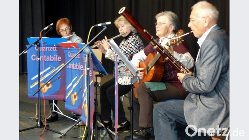 Das „Quartett Cantabile“ musiziert ruhige Weisen. Bild: Schönberger, Ferdinand [fsb]