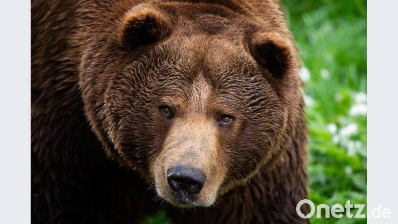 Symbolbild: Christophe Gateau/dpa