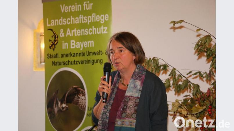 Die Vorsitzende des Bund Naturschutzes, Ortsgruppe Weiden, Sonja Schuhmacher, stimmte in vielen Aussagen zum Artenschutz den Vortrag von Prof. Dr. Josef H. Reichholf zu. Beim Klimawandel jedoch forderte sie ein rascheres Handeln und keine Verharmlosung. Bild: bsc