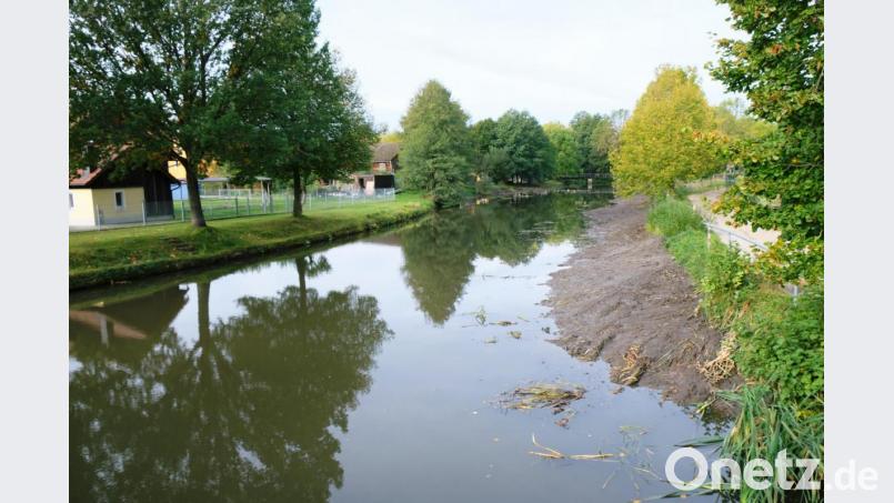 Auf Höhe Tremmersdorf haben Entlandungsmaßnahmen in der Creußen begonnen. Der Schlamm ist am Flussrand zwischengelagert. Bild: do