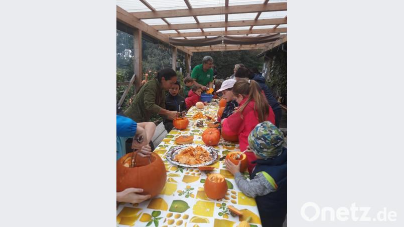 Unter der fachkundigen Anleitung von Jugendbetreuerin Katharina Hage (links) und Vorsitzendem Josef Häckl (hinten) werden die Kürbisse ausgehöhlt. Bild: rpp