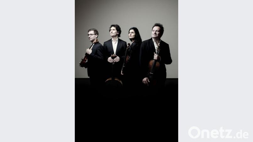 Das Belcea Quartet London spielt in der ersten Liga. Beethoven liegt den Musikern besonders am Herzen. Sie haben alle 16 Quartette mehrfach aufgeführt und auch schon eingespielt. Bild: Marco Borggreve