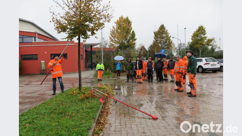 Harald Schlöger (links) zeigte den Bauhofmitarbeitern, was sie beim Gehölz- und Baumschnitt beachten müssen. Bild: jzk