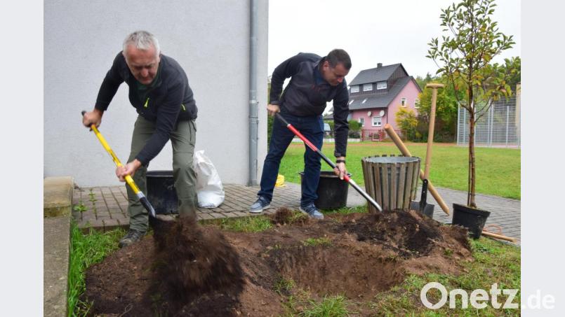 Alfons Lobinger (links) bereitet gemeinsam mit Schnaittenbachs zweitem Bürgermeister den Boden für das kleine Apfelbäumchen. Bild: tat