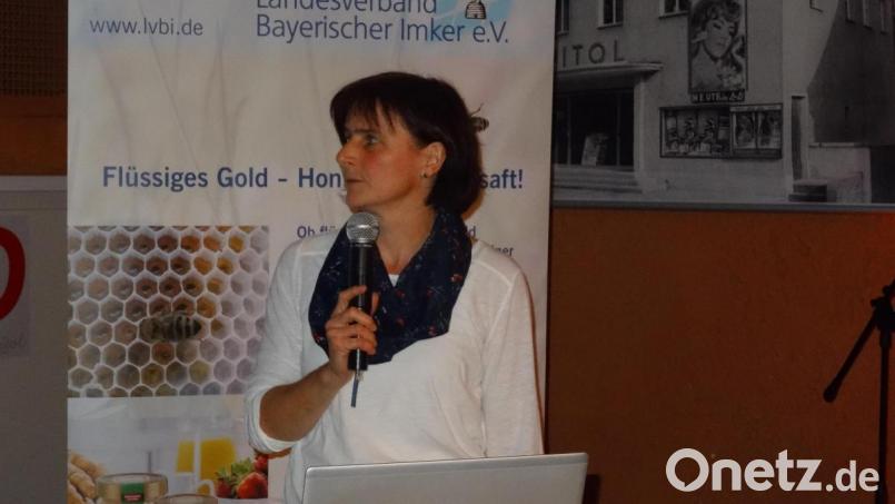 Renate Feuchtmeyer sprach über Bienenweiden, den &quot;intelligenten&quot; Blumenkasten und das &quot;urban beekeeping&quot;. Bild: hka
