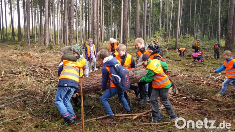 Die gemeinsame &quot;Waldarbeit&quot; bereitet den Schülern eine gehörige Freude und jede Hand packt eifrig mit an. Bild: fjo