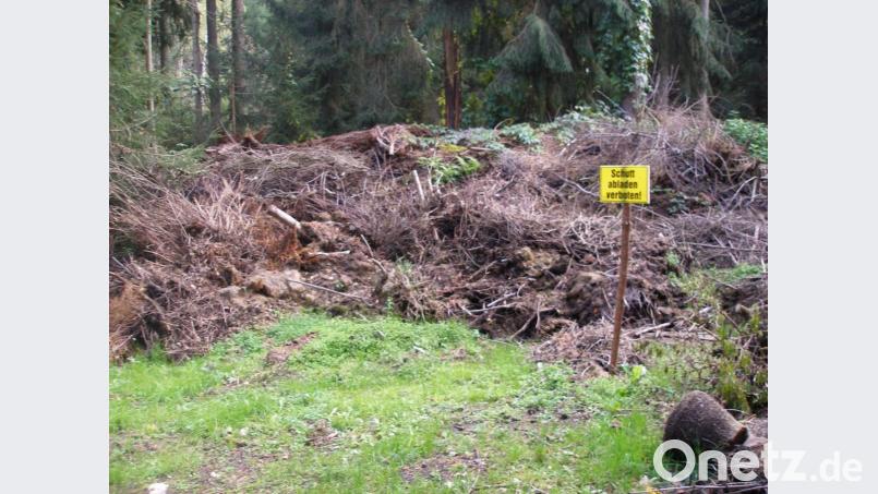 Auch der Kirchenverwaltung der Stadtpfarrei Mariä Himmelfahrt bereitet die wilde Ablagerung von Gartenabfällen Ärger. Betroffen ist vor allem eine Stelle im Kirchenwald „In der Frühmeß“. Daran hat auch das Aufstellen eines Verbotsschildes nichts geändert. Bild: u