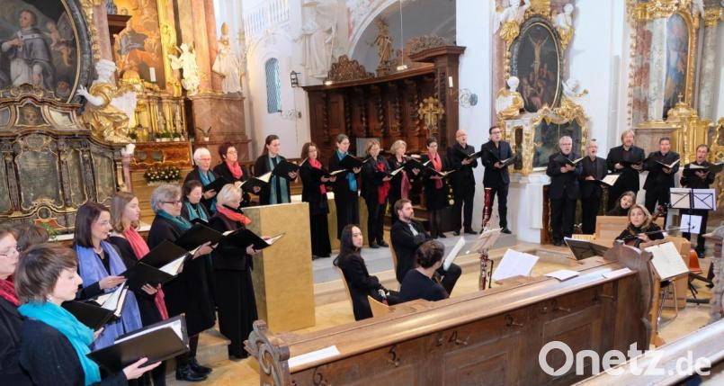 Begleitet von Instrumentalisten der Hofer Symphoniker stellte der Kammerchor Hof unter Leitung von Wolfgang Weser das Konzert in Speinshart unter das Leitthema "Zuversicht" Bild: do