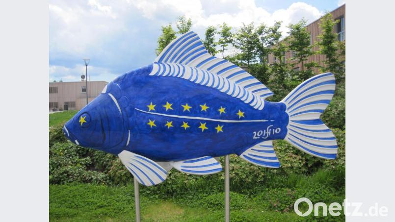 Europakarpfen vor dem Fischhofpark in Tirschenreuth. Bild: exb
