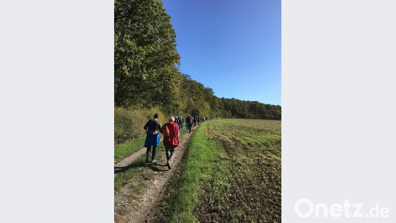 Symbolische Wanderung am Morgen des Festakts auf dem Weg der Zisterzienser aus dem ehemaligen Möncheigen Sulzheim nach Ebrach unter reger Teilnahme der Bevölkerung. Die Gruppe wurde in Ebrach von Landrat Johann Kalb empfangen. Bild: exb
