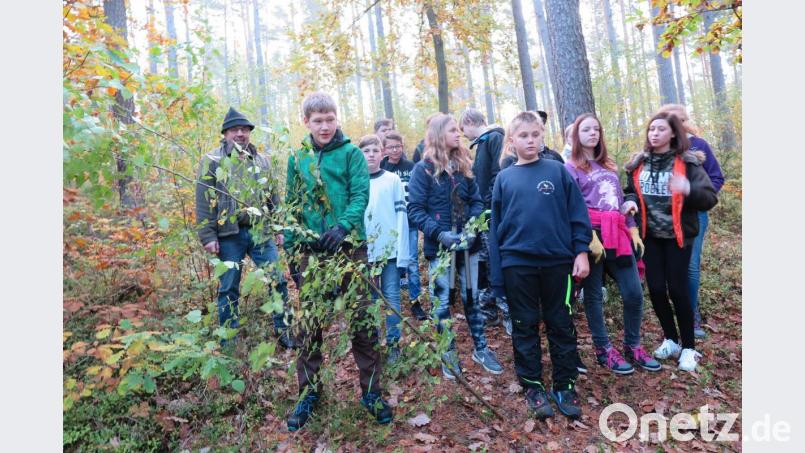 Stadtförster Klaus Ferber (links) gab den Achtklässlern Anweisungen zur richtigen Pflege des Schulwaldes. Bild: jzk