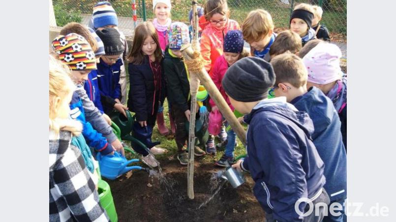 Schüler der Klasse 2b pflanzen zusammen mit ihrer Lehrerin einen Klimabaum im Pausenhof der Grundschule. Bild: sm