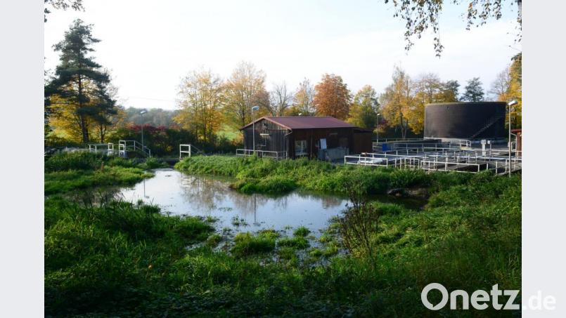 So romantisch wie Kläranlage Luhe-Wildenau sich in die Landschaft einfügt, eine Ertüchtigung mit einer Vielzahl von Umbaumaßnahmen ist unerlässlich. Bild: bey