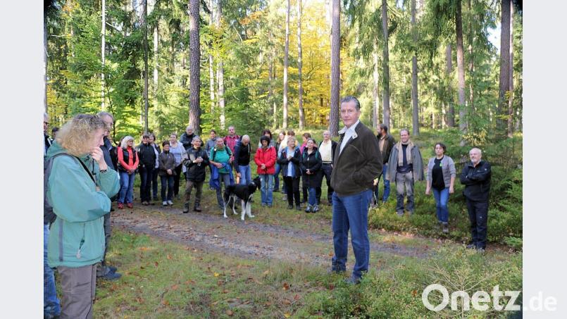 Waldbesitzer Eberhard Freiherr von Gemmingen-Hornberg (Mitte) gab bei der Exkursion des Vereins für Landschaftspflege und Artenschutz in Bayern einen Einblick in die Waldbewirtschaftung. Bild: bsc
