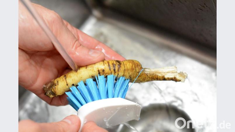 Unter dem Wasserstrahl wird die Eibischwurzel saubergeschrubbt. Bild: Gabi Schönberger